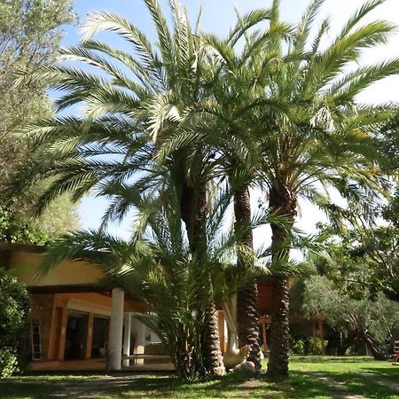 Villaggio Garden Park Marina di Camerota Zewnętrze zdjęcie