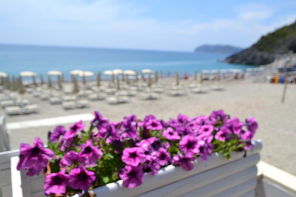 Villaggio Garden Park Marina di Camerota Zewnętrze zdjęcie