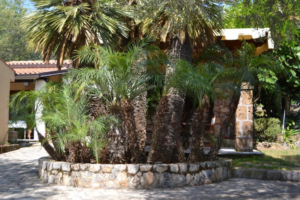 Villaggio Garden Park Marina di Camerota Zewnętrze zdjęcie